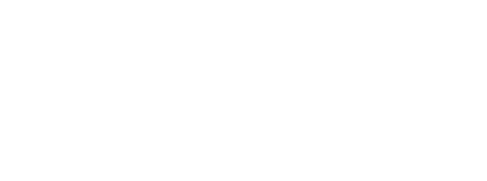 New Warrior.png
